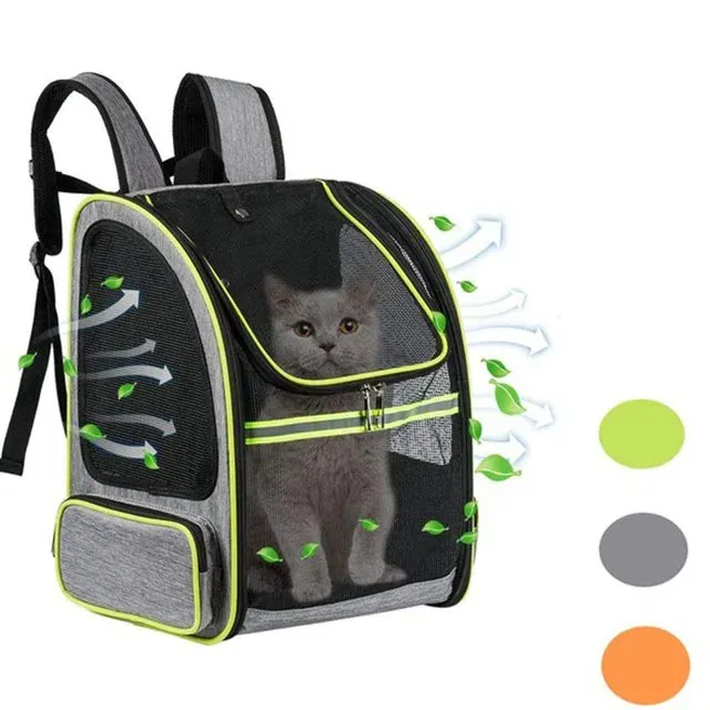 Torba transportowa dla świnek morskich