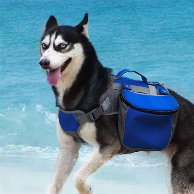 Torby do przewozu kociąt dla psów